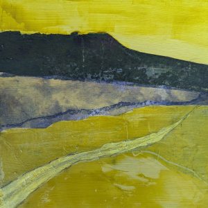 Point of View 15